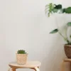 Ensembles de vaisselle 10 pièces bambou Mini panier à fleurs stockage à la maison Simple décor intérieur rustique porte-fruits artisanat fait à la main
