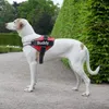 Colliers pour chiens Laisses Harnais personnalisé Gilet réglable réfléchissant pour petit grand avec patch personnalisé Fournitures de formation pour chiens 230619