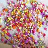 Decorative Flowers 2023 0.5-1cm Dried Diy Art Craft Epoxy Resin Candle Making Jewellery Home Party Flower Decoration Sale