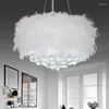 Pendant Lamps Remote Control Girls Room Cute Crystal Lamp LED Korean Feather Combined With Features
