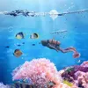 装飾水族館装飾アクセサリーミニサムル装飾品植物石タートルタートルアクセサリーのためのタートルアクセサリー230619