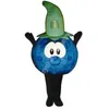 Mascot kostymer halloween fancy party klänning lycklig blåbärs tecknad karaktär karneval xmas påsk reklam födelsedagsfest kostym dräkt