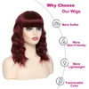 Nxy Hair Perücken 8 14 Zoll synthetischer Burgunderroter kurzer lockiger Bob mit Pony schulterlang Weinrot für Frauen 230619