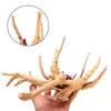 Decorazioni 1 Pz Tronco d'albero naturale Acquario Decorazione Opera d'arte in legno Decor Ornamenti paesaggistici Forniture per ornamenti per acquari 230619