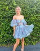 Print Floral Homecoming Dress 2k24 Hoco Ruffed Ballon Sleeves Sheer Corset Drama Graduation Cocktail Party Wedding Guest Holiday Club Black-Tie Gala Lilac Pink Blue