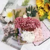 Fiori decorativi 1 borsa Utile fiore essiccato conservato Bellissimo modello di oggetti di scena per matrimoni artistici