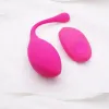 Silikon erotisk hopp ägg fjärrkontroll kvinnlig trådlös fjärrvibrator klitoris stimulator vaginal gspot massager leksak för