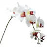 Decorative Flowers Beautiful Vibrant Colors Fake Butterfly Orchid Not Wither Flower Arrangement Faux Silk Phalaenopsis Branch