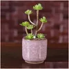 Planters krukor Ice Cracked Mini Ceramic Flower Pot Colorf Cute Flower Pot för skrivbordsdekoration Meaty Poted Plants 8 Färger Drop D DHS6s
