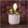 Planters krukor Ice Cracked Mini Ceramic Flower Pot Colorf Cute Flower Pot för skrivbordsdekoration Meaty Poted Plants 8 Färger Drop D DHS6s