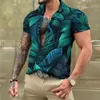 Mäns avslappnade skjortor skjortor och blusar Hawaiian herrskjorta tropiska 3D -tryck avslappnad strand korta ärm toppar överdimensionerade tees man kläder camisa 230619