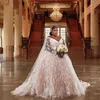 2021 vestido de novia de talla grande encaje champán rubor manga larga vestidos de novia apliques cuello en V corsé en la espalda Iglesia matrimonio Dresse252H