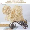 Vegetazione floreale finta 60g Gypsophile Fiori secchi Babys Breath Bouquet San Valentino Rami di fiori naturali Nordic Home Decor Accessori da sposa 230617