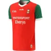 2023 아일랜드 프리미어 리머 릭 코크 더블린 GAA 유니폼 22 23 Down Louth Antrim Wexford Wicklow Laois Mayo Hurling Derry Westmeath Home Away Shirt