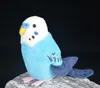 Plush Plush Animals Bezpłatna dostawa mini budżetowy ptak nadziewana zabawka Parrot Symulacja lalka dla dzieci prezent urodzinowy 230619