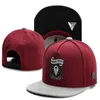 Cappelli Snapback Cayler Sons Rosa NO BAD DAYS Albero Cappellini da baseball con protezione solare Uomini o donne Sport Bone Aba Reta