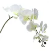 Decorative Flowers Beautiful Vibrant Colors Fake Butterfly Orchid Not Wither Flower Arrangement Faux Silk Phalaenopsis Branch