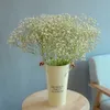 Faux Floral Greenery Dried Flowers Babys Breath Bouquet Ivory White Flowers Natural Gypsophila Branches for Home Decor Wed Floral Dry Bulk for Vase 230617