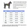 Hundhalsar Löser Personlig sele Inget drag Reflekterande andningsbar husdjurväst för små stora tillbehör för utomhuspromenad 230619
