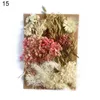 Fiori decorativi 1 borsa Utile fiore essiccato conservato Bellissimo modello di oggetti di scena per matrimoni artistici