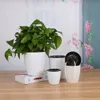 Planters POTS S/M/L/XL-xxxl Lazy Flower Pot Ytter och inre potten Imitation Porslin Series Garden Plast Self Watering Flower Pot Soil Plantin