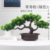 Fleurs décoratives Simulation fausse fleur en pot décoration arbre bienvenue pin plastique bonsaï intérieur plante verte