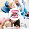 Ferramentas Oficina Escovar os Dentes Brinquedos Para Educação Infantil Brinquedos de Representação de Papéis Bonito Educação Infantil Brinquedos de Escovar os Dentes dos Desenhos Animados Modelo Ensino 230619