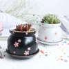 Плантеры горшки керамический сочный горшок с милым декоративным цветочным цветом яркий цвет цветочный плантатор для сада R230620