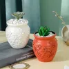 Sadzarki garnki kreatywne układy kwiatowe suche kazanie plastikowe hydroponiczne wazę imitacja porcelanowa imitacja glazura soczysta kwiat R230620