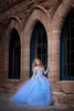 Blue Princess Flowers Girls Dresses For Wedding Long Sleeve Appliciques Pärlor Ballklänning Kids Pageant Gowns First Holy Communion Dress