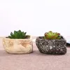 Planters Pots Creative Ceramic Stone Shape Flowerpot Home Garden Bonsai Cactus Planter Pots Succulent Plant Flower Pot Balcony Decoration R230620