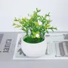 Сушеные цветы Мини-искусственные растения Бонсай Маленький искусственный горшок с травой Поддельные для дома, сада, офиса, стола, украшения комнаты
