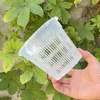 Planters POTS 5sts rotkontrollerad transparent blomkruka för orkidéer cattleya plantering med stomata blomkruka hem dekoration plast blomkruka