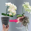 Planters POTS ROOT CONTROL Meshpot Plastic Hydroponic Orchid Pot With Holes Air Rooting Growth Plant Nursery Basket Graden levererar 10/12/15 cm