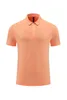 Lu Outdoor Mens Sport Polo Shirt Quick Dry Sweat-wicking Short Polos Top Men Wrokout Sleeve ll510 Plus 4XL Fashion Brand Gftr