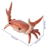 Potloodkisten Japanse creatieve schattige krabbenhouder gewichtheffen krabben penhouders bracket opslagrek cadeau -briefpapier 230620