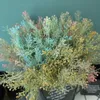 Fleurs séchées 1pc Small Fruits Grass Artificial Flower Beans Plant Bouquet Mariage Home Decoration Falle Fleur