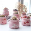 Plantadores potes pote tanaman sukulen dengan lubang desain bunga pote bunga penanam pote bunga bonsai rumah indah desktop
