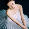 Stage Wear Professional Ballet Dress Adult Dance Slip One-piece Tutu Swan Skirt Puffy Performance