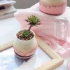 Plantenbakken Potten Roze Flow Glaze Keramische Bloempot Leuke Handgeschilderde Succulent Potten Mini Plant Containers Planter Met Gat Huis Tuin Decor R230620