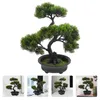 Dekoratif çiçekler yapay saksı sahte bonsai süsleme küçük açık bitkiler masa ağacı ev sevimli raf süsleri