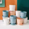 Planters Pots M/L Pot Bunga Tanaman Sukulen Plastik Solid Dengan Nampan Kafe Rumah Taman R230807