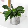 Planters POTS Simple Ceramic Wire Ritning Elektroplätering av guld och silver köttig kombination Flowerpot Handikraft Blomma Arrangeringsenhet R230620