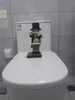 Obiekty dekoracyjne figurki uchwyt na papier toaletowy Kreatywny sfałszowany posąg papieru posąg uroczy zabawny dekoracyjna żywica Kształt Tkanki stojak stojak na toaletę 230619