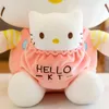 Wholesale pocket cat plush toys Sofa Throw pillows birthday gifts Company activities Prize room decor