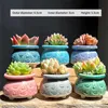 Planters Pots Ceramic Flowerpot Creative Draining Hole Meat Flower Pot Cat Claw Ceramics Bonsai Flowerpot High Quality Flower Decorative R230620