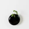 Vasos de plantas coreano retrô hidropônico cerâmica preto e branco pendurado na parede carnudo vaso de plantas simples decoração de escritório jardinagem criativa r230620