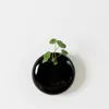 Planters Pots Korean Retro Hydroponic Ceramic Black and White Wall Hung Fleshy Flowerpot Simple Plant Pot Office Decor Gardening Creative R230620