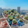 Planters Pots Mini Flower Pot Ceramic Breathable Thumb Flowers Pot Lithops Succulent Flowerpot Home Garden Mini Bonsai Potted Planting R230620