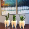 Planters Pots 1Pcs Tooth Shaped Tabletop Ceramic Flowerpot Home Furnishings Cute Cactus Pot Flower Succulent Plant Nursery Basin Table Va L5L0 R230620